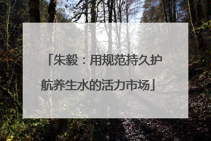 朱毅:用规范持久护航养生水的活力市场