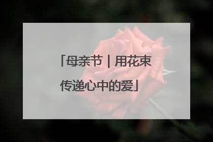 母亲节｜用花束传递心中的爱