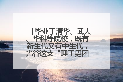 毕业于清华、武大、华科等院校，既有新生代又有中生代，光谷这支“理工男团”为何“出道”？