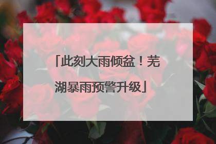 此刻大雨倾盆！芜湖暴雨预警升级