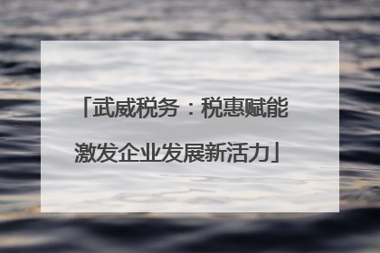 武威税务：税惠赋能 激发企业发展新活力