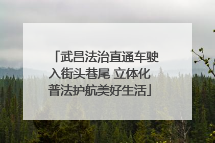 武昌法治直通车驶入街头巷尾 立体化普法护航美好生活