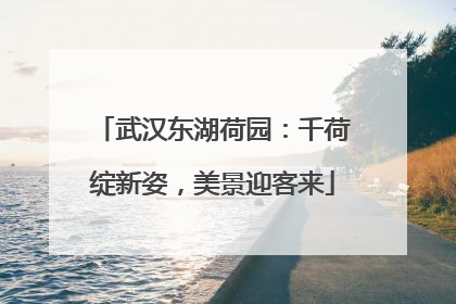 武汉东湖荷园：千荷绽新姿，美景迎客来