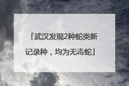 武汉发现2种蛇类新记录种，均为无毒蛇