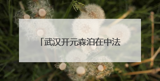 武汉开元森泊在中法生态城盛大开业 华中文旅再添新地标