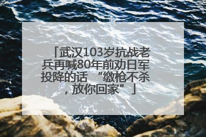 武汉103岁抗战老兵再喊80年前劝日军投降的话 “缴枪不杀，放你回家”