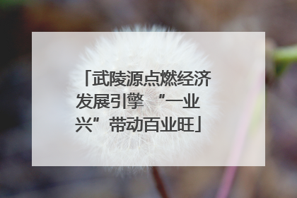 武陵源点燃经济发展引擎 “一业兴”带动百业旺