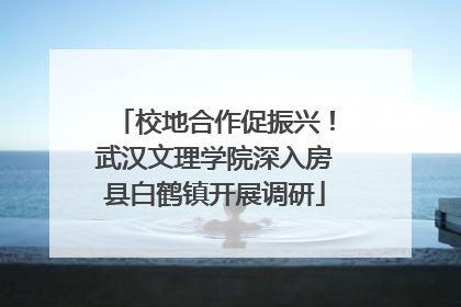 校地合作促振兴！武汉文理学院深入房县白鹤镇开展调研
