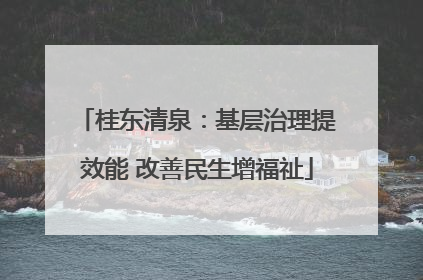 桂东清泉：基层治理提效能 改善民生增福祉