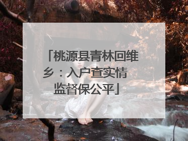 桃源县青林回维乡：入户查实情 监督保公平