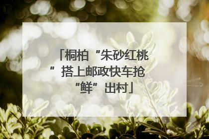 桐柏“朱砂红桃”搭上邮政快车抢“鲜”出村