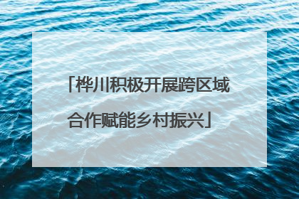 桦川积极开展跨区域合作赋能乡村振兴