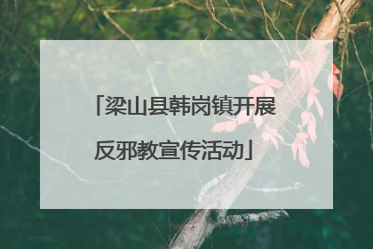梁山县韩岗镇开展反邪教宣传活动