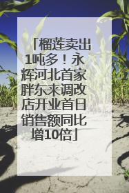 榴莲卖出1吨多！永辉河北首家胖东来调改店开业首日销售额同比增10倍