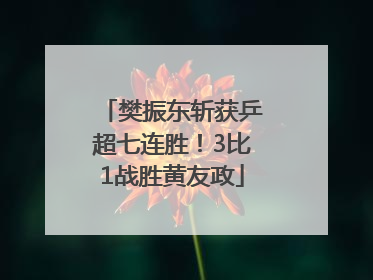 樊振东斩获乒超七连胜！3比1战胜黄友政