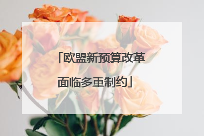 欧盟新预算改革面临多重制约