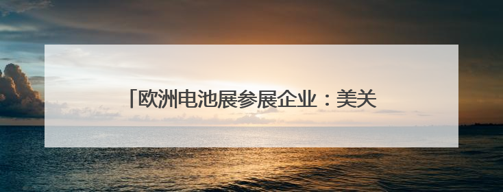 欧洲电池展参展企业：美关税“不确定性”阻碍发展