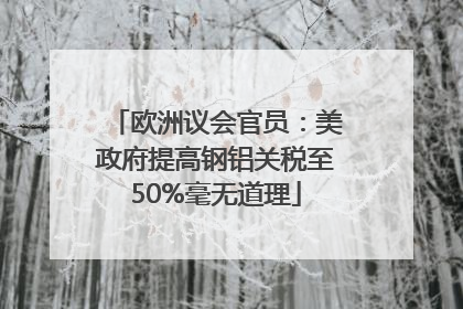 欧洲议会官员：美政府提高钢铝关税至50%毫无道理