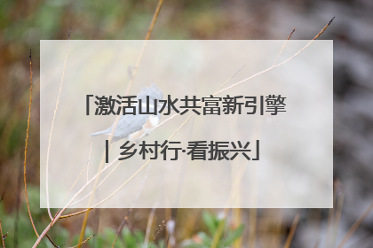 激活山水共富新引擎｜乡村行·看振兴