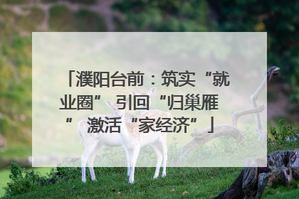 濮阳台前：筑实“就业圈” 引回“归巢雁” 激活“家经济”