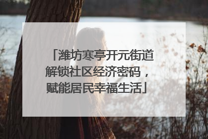 潍坊寒亭开元街道解锁社区经济密码，赋能居民幸福生活