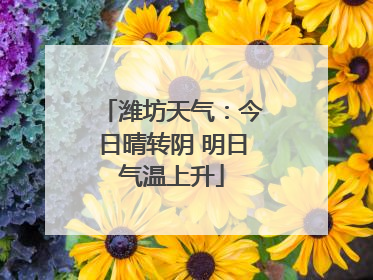 潍坊天气：今日晴转阴 明日气温上升