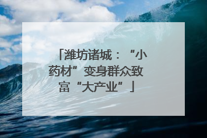 潍坊诸城：“小药材”变身群众致富“大产业”