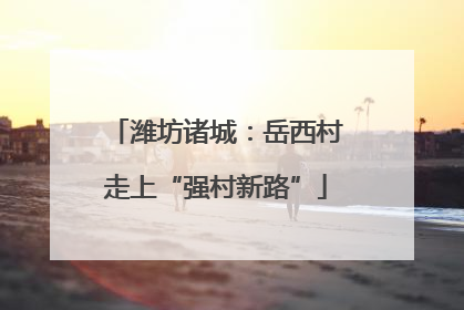 潍坊诸城：岳西村走上“强村新路”