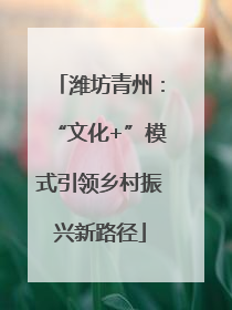 潍坊青州：“文化+”模式引领乡村振兴新路径