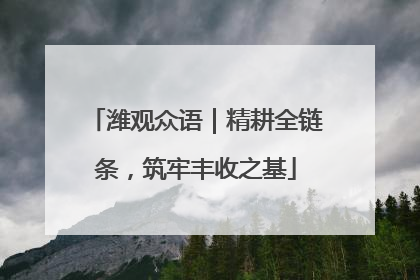 潍观众语｜精耕全链条，筑牢丰收之基