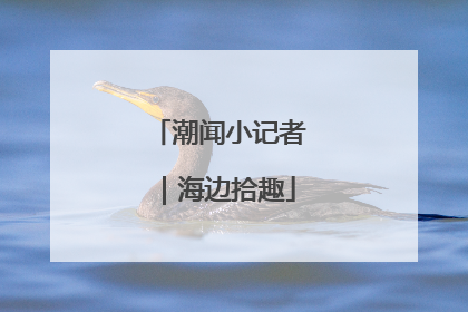 潮闻小记者｜海边拾趣