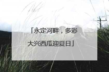 永定河畔，多彩大兴西瓜迎夏日