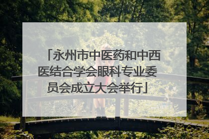 永州市中医药和中西医结合学会眼科专业委员会成立大会举行