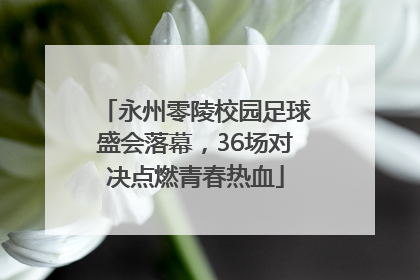 永州零陵校园足球盛会落幕，36场对决点燃青春热血
