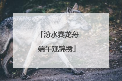 汾水赛龙舟 端午观锦绣