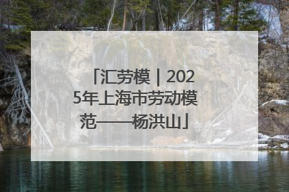 汇劳模｜2025年上海市劳动模范——杨洪山