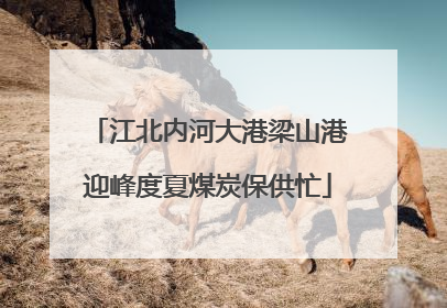 江北内河大港梁山港迎峰度夏煤炭保供忙