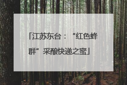 江苏东台：“红色蜂群”采酿快递之蜜