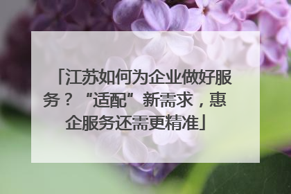 江苏如何为企业做好服务？“适配”新需求，惠企服务还需更精准