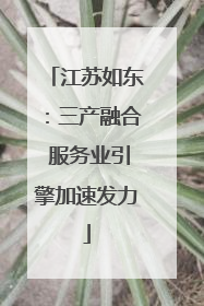江苏如东：三产融合 服务业引擎加速发力