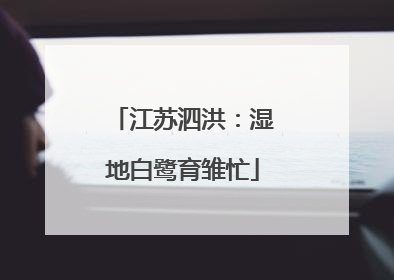 江苏泗洪：湿地白鹭育雏忙