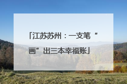 江苏苏州：一支笔“画”出三本幸福账