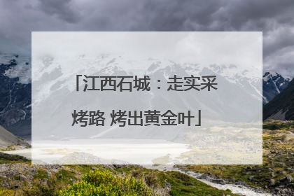 江西石城：走实采烤路 烤出黄金叶