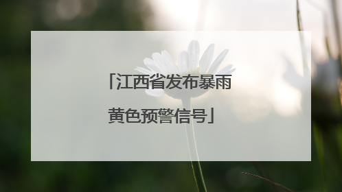 江西省发布暴雨黄色预警信号