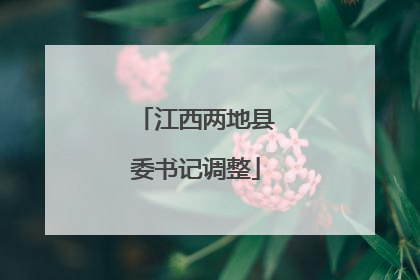 江西两地县委书记调整