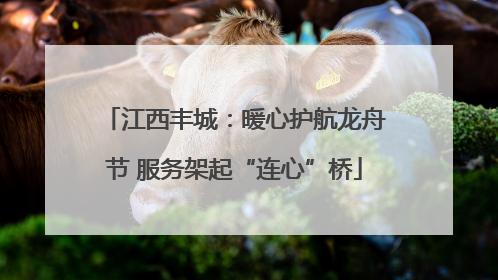 江西丰城：暖心护航龙舟节 服务架起“连心”桥