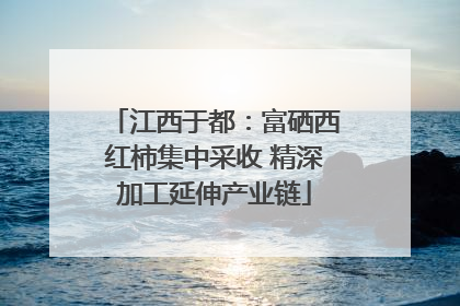 江西于都：富硒西红柿集中采收 精深加工延伸产业链