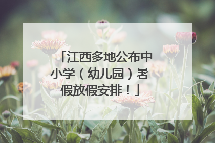 江西多地公布中小学（幼儿园）暑假放假安排！