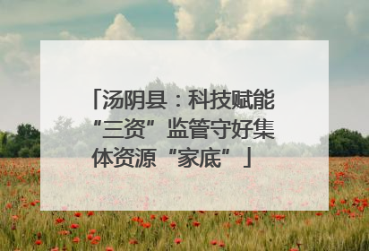 汤阴县：科技赋能“三资”监管守好集体资源“家底”