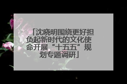 沈晓明围绕更好担负起新时代的文化使命开展“十五五”规划专题调研